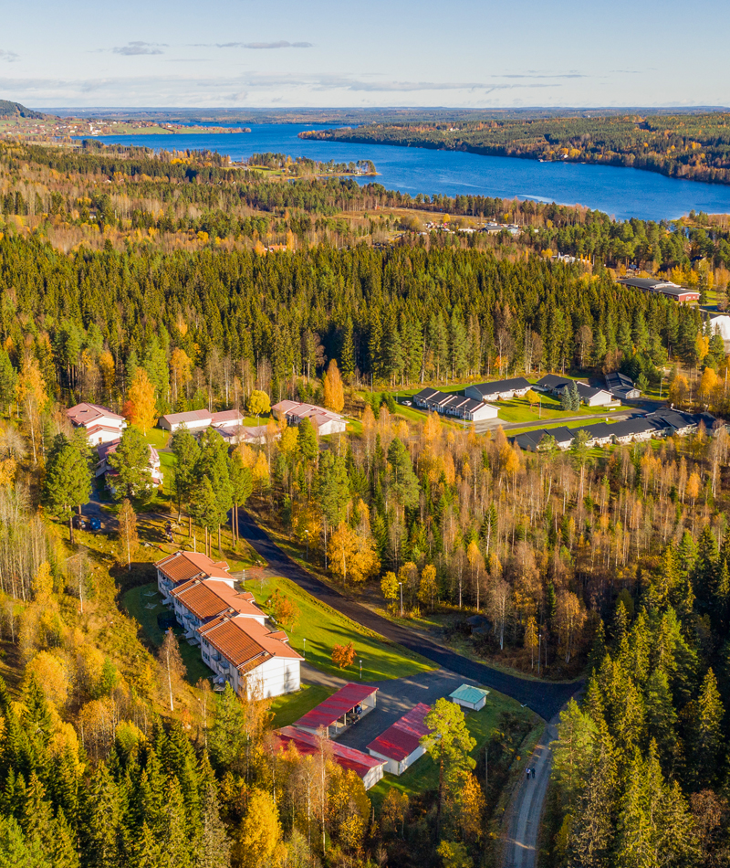 Sveahem bakgrundsbild